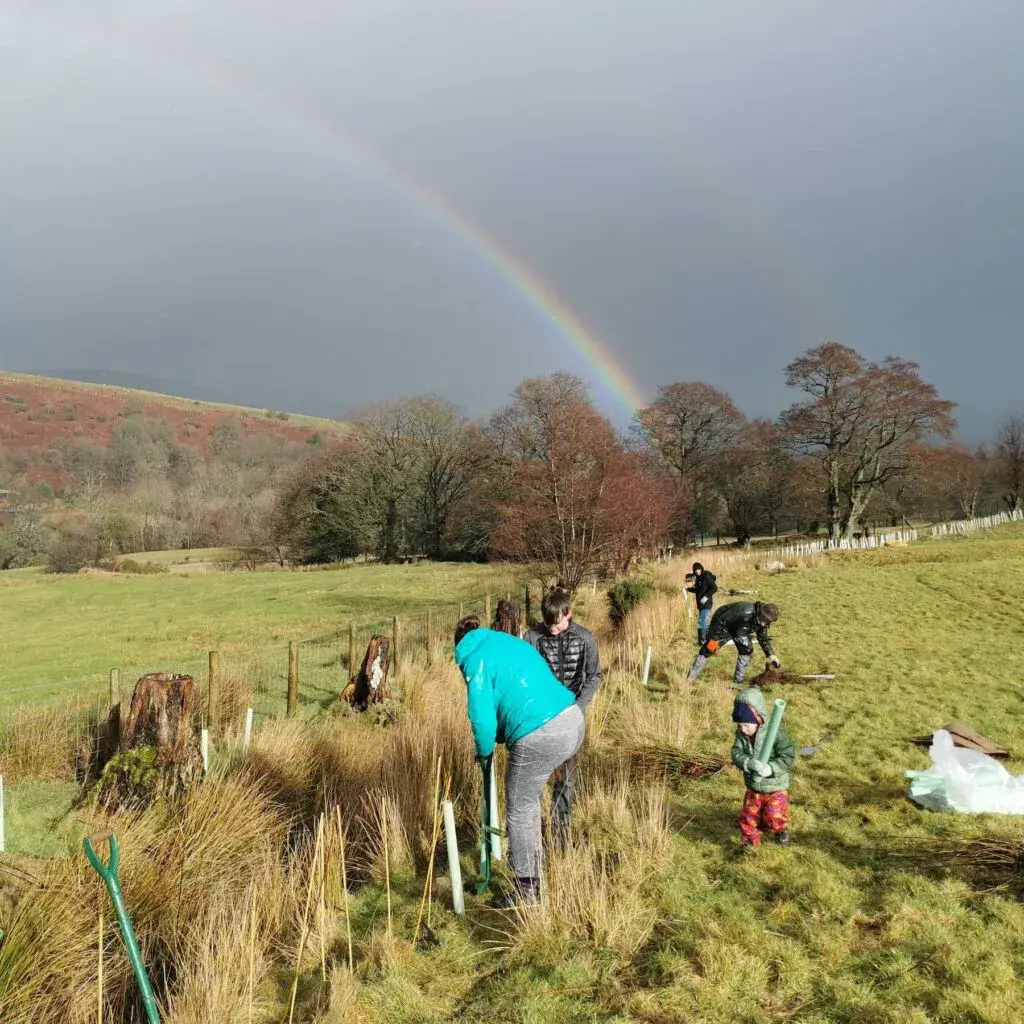 Plantlife Volunteer With Us