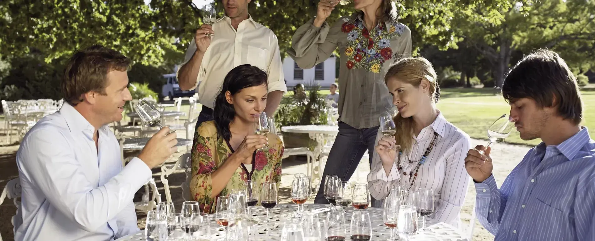 Vinity Wines Hero.Png