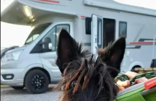 Melling Motorhomes Pet Friendly