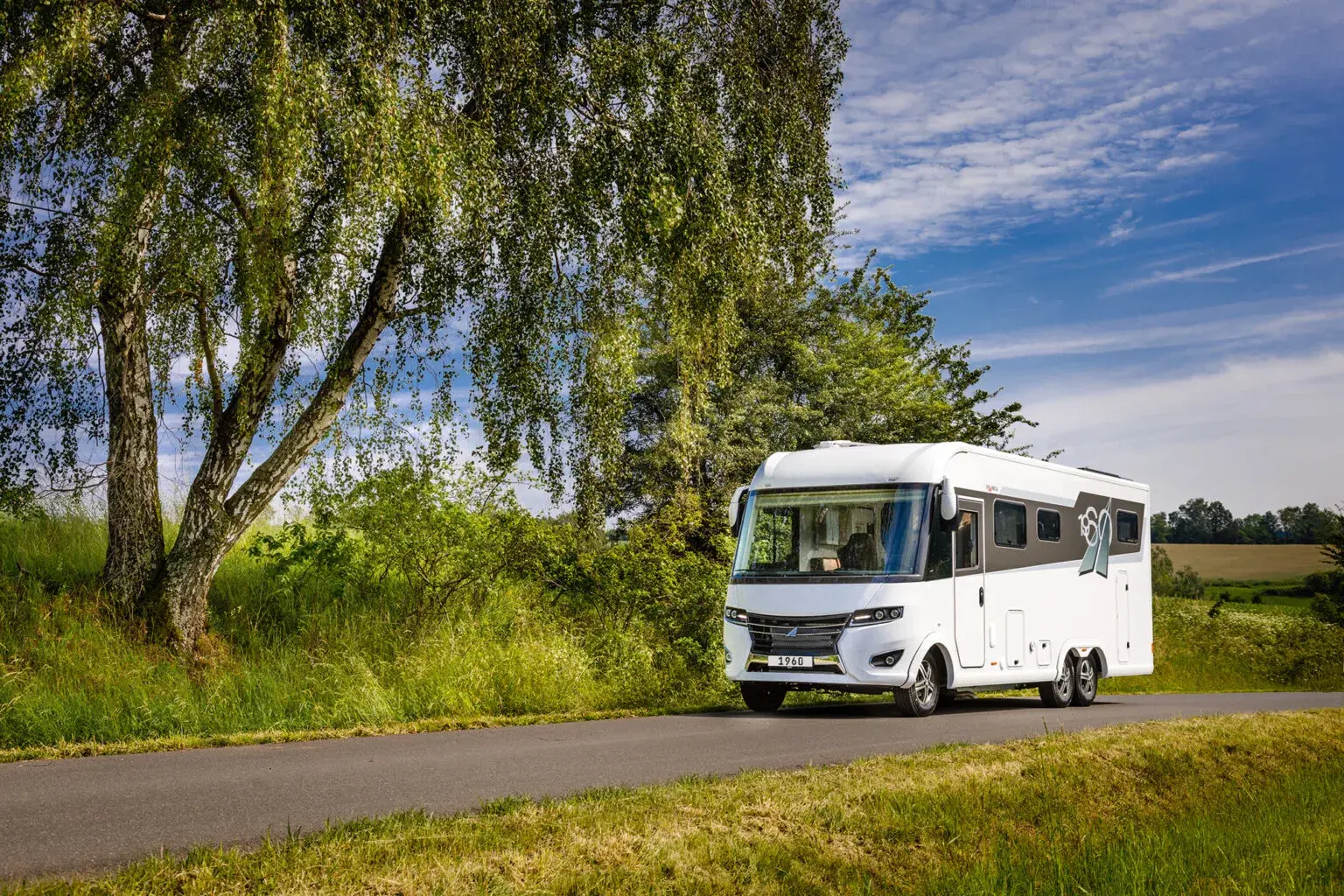 Frankia F Line
